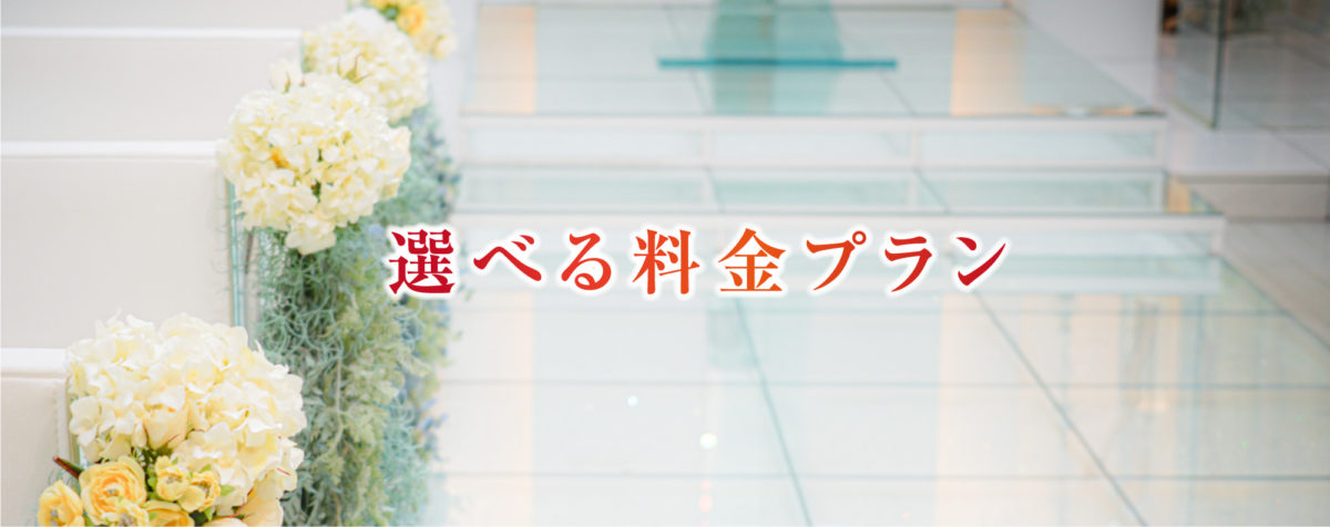 選べる料金プラン